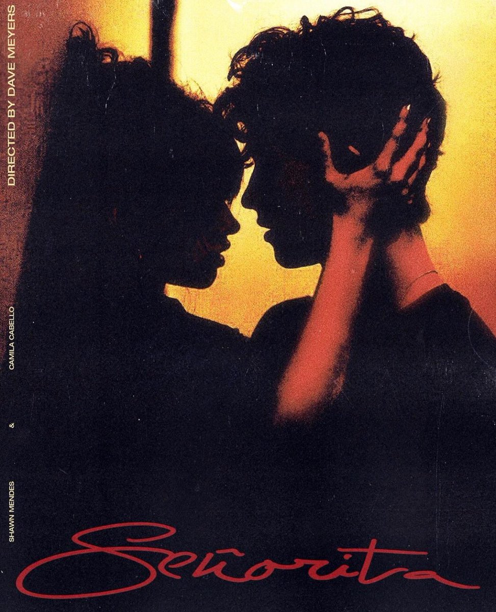 Señorita by Shawn Mendes & Camila Cabello - dealsinretail